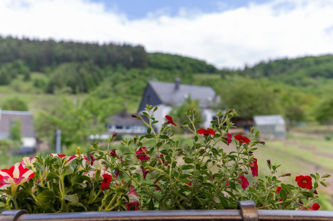 Ferienwohnungen Schorn Burg  Esterno foto