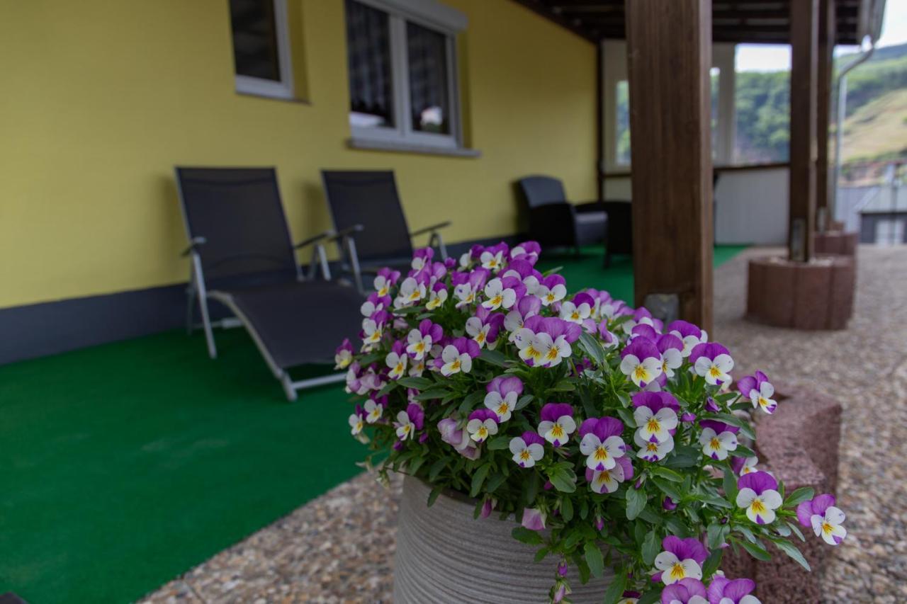 Ferienwohnungen Schorn Burg  Esterno foto